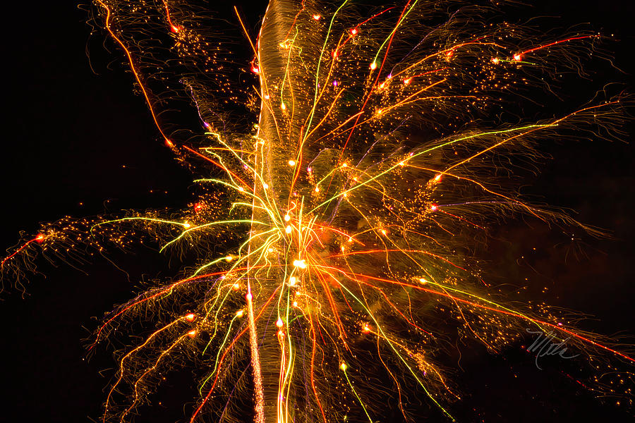 Fireworks Neuron Explosion Photograph by Meta Gatschenberger