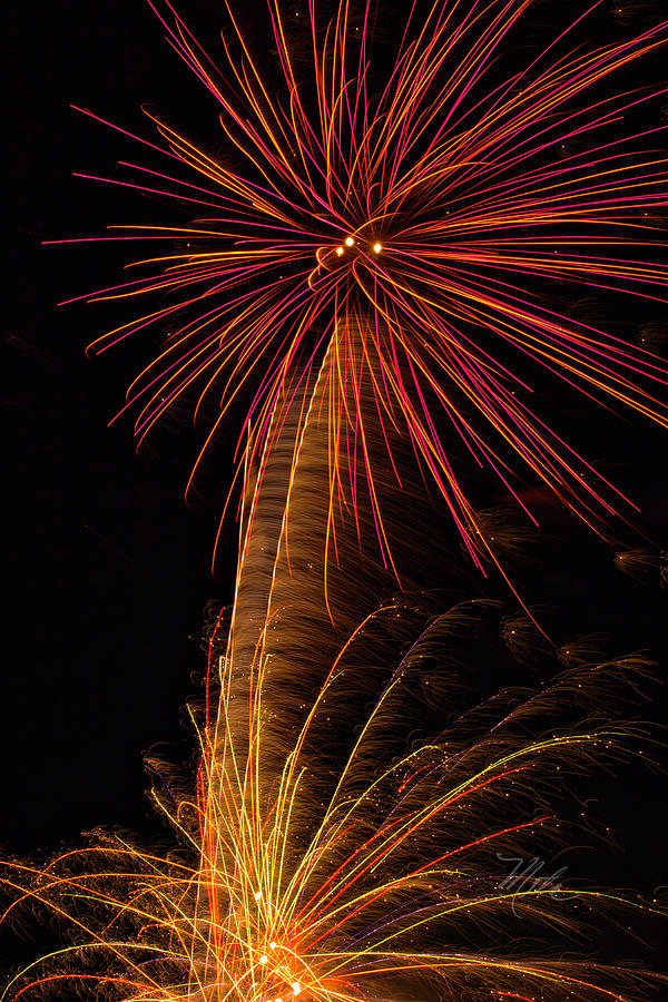 Fireworks Palm Tree Photograph by Meta Gatschenberger