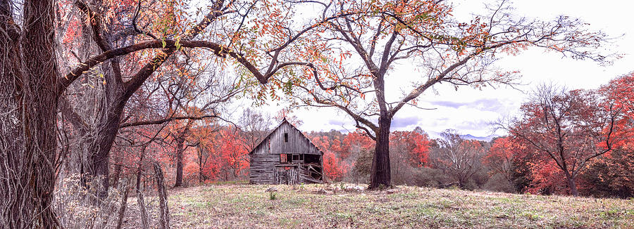 First Frost Vintage Barn in the Smokies Panorama Photograph by Debra and Dave Vanderlaan