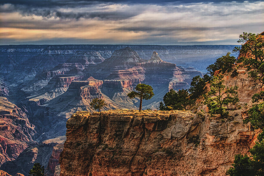 Grand Canyon National Park Photograph - First Light by Medicine Tree Studios