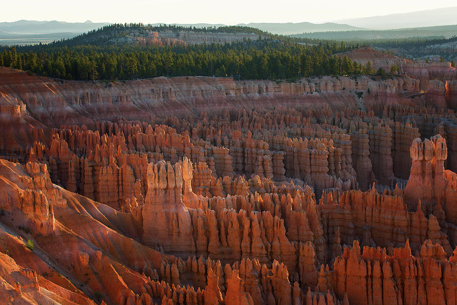 First Light on the Hoodoo Inspiration Point Bryce Canyon National Park by Nathan Bush First Light on the Hoodoo Inspiration Point Bryce Canyon National Park by Nathan Bush