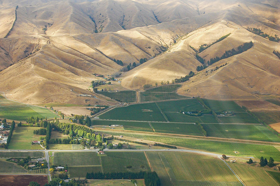 First look at vineyards Photograph by Su Buehler - Fine Art America