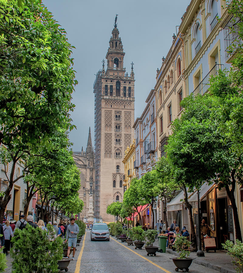 First Look of Seville Cathedral Photograph by Marcy Wielfaert