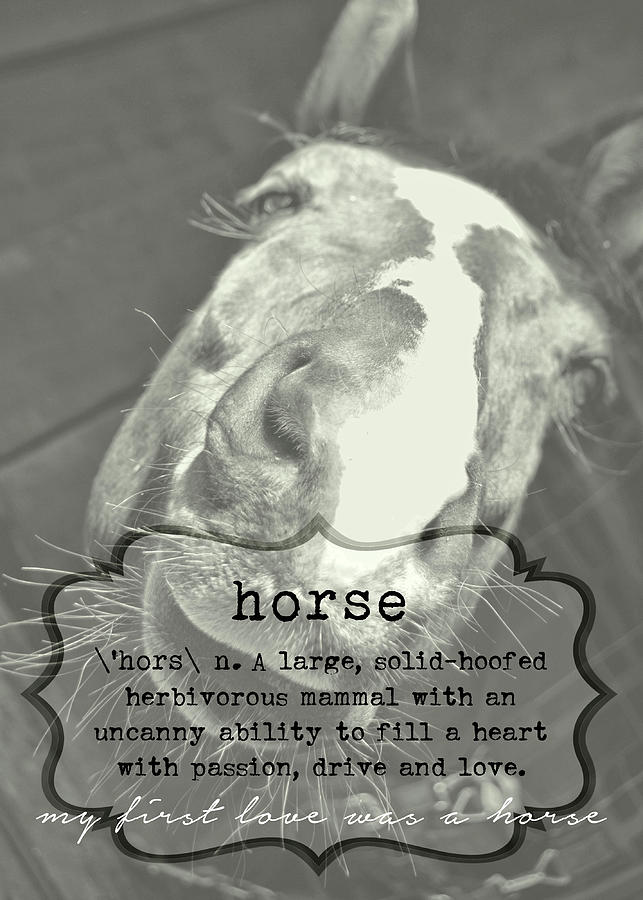 FIRST LOVE quote Photograph by Dressage Design