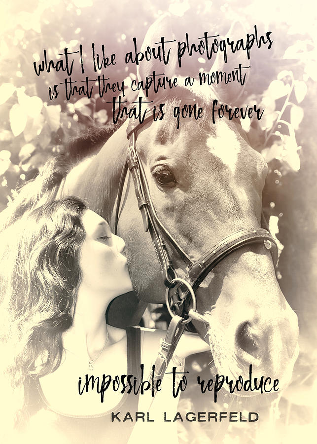 FIRST LOVES quote Photograph by Dressage Design