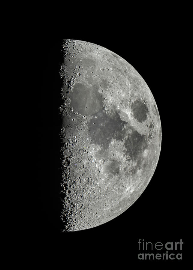 First Quarter Moon Photograph by Miguel Claro/science Photo Library