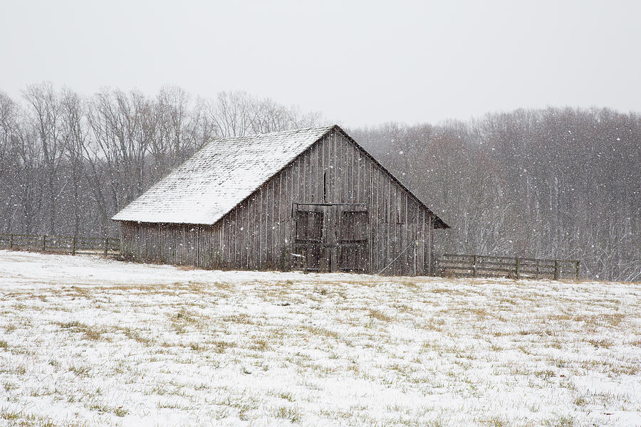Barn Photograph - First Snow by Aledanda