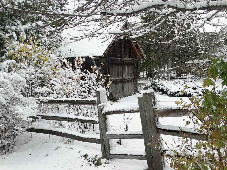 First Snow Photograph By David T Wilkinson