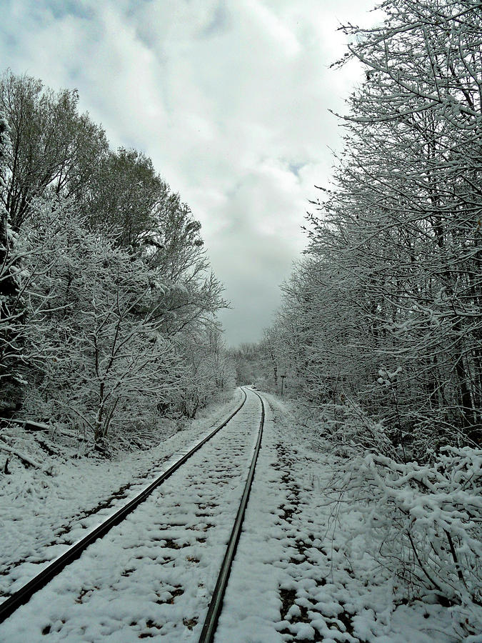 First Snow Fall 16 Photograph by Cyryn Fyrcyd