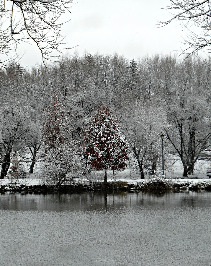 First Snow Fall 8 Photograph by Cyryn Fyrcyd