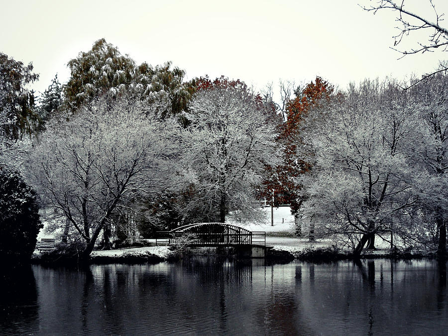 First Snow Fall 9 Photograph by Cyryn Fyrcyd