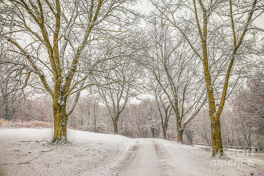 First Snow Of Winter Digital Art by Randy Steele