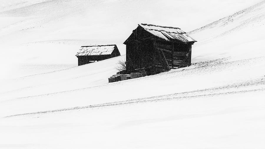 Winter Photograph - First Snow by Uschi Hermann
