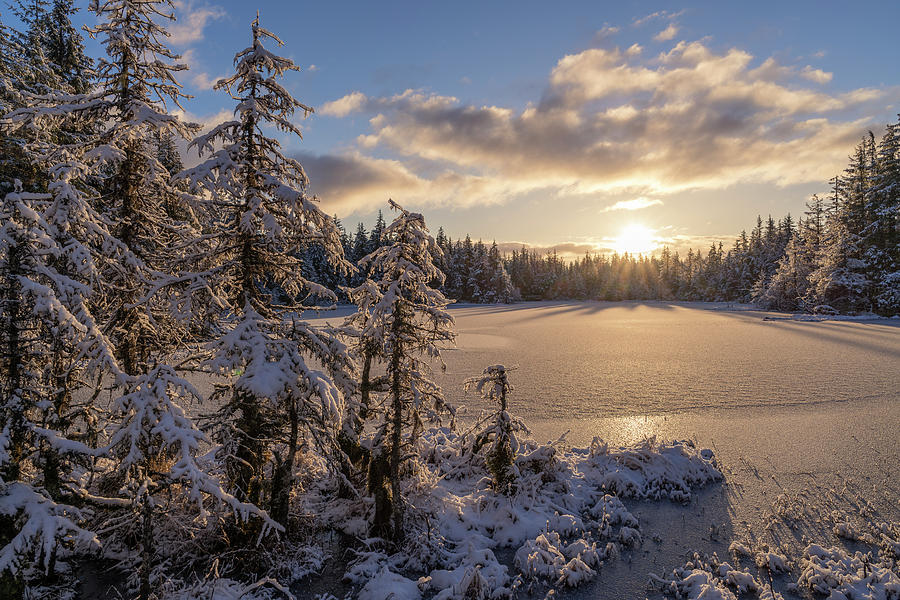 First Snowfall In Tongass National Photograph by John Hyde - Fine Art ...