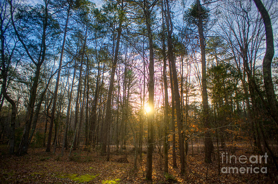 First Sunrise 2019 by Daniel Brinneman First Sunrise 2019 by Daniel Brinneman