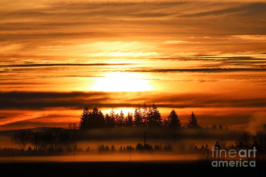 First Sunrise Photograph by Nick Gustafson