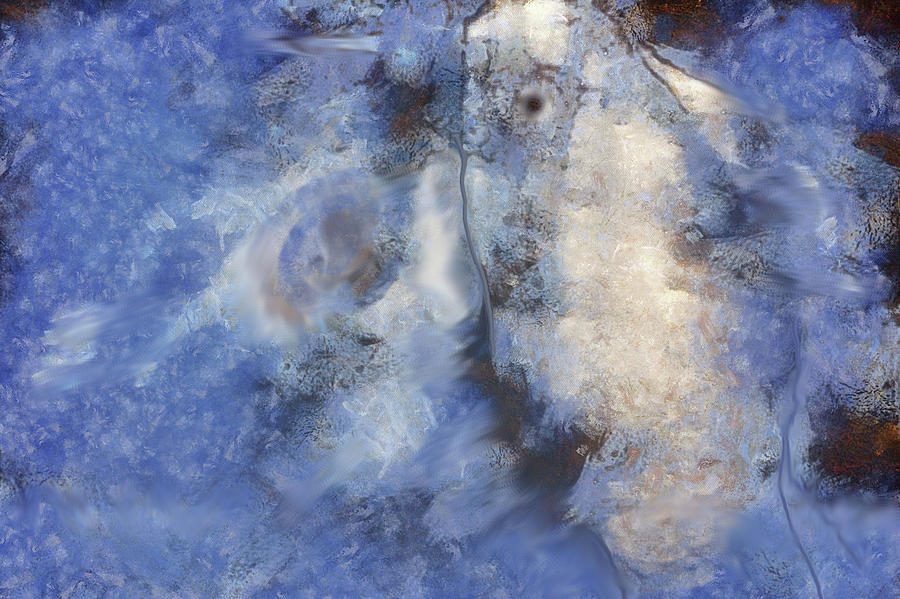 Fish, Abstract Digital Art by Robert Bissett