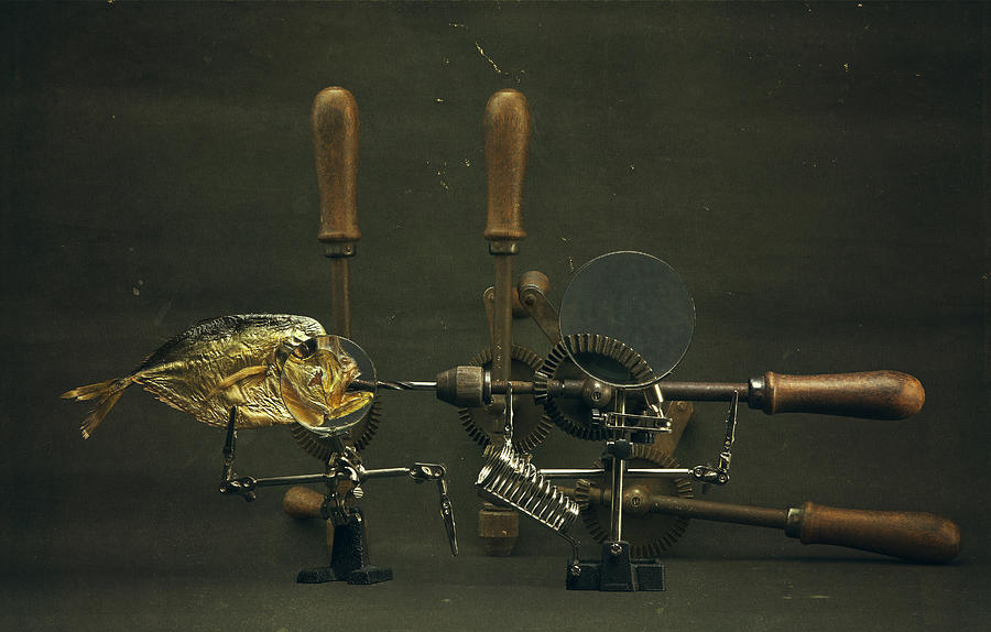 Fish And Drills Photograph by Brigbarkow