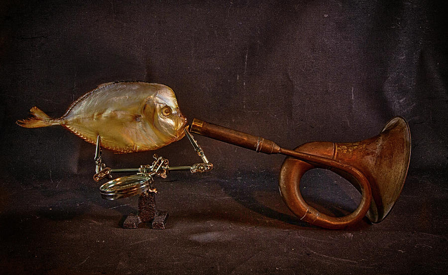 Still Life Photograph - Fish And Horn by Brig Barkow