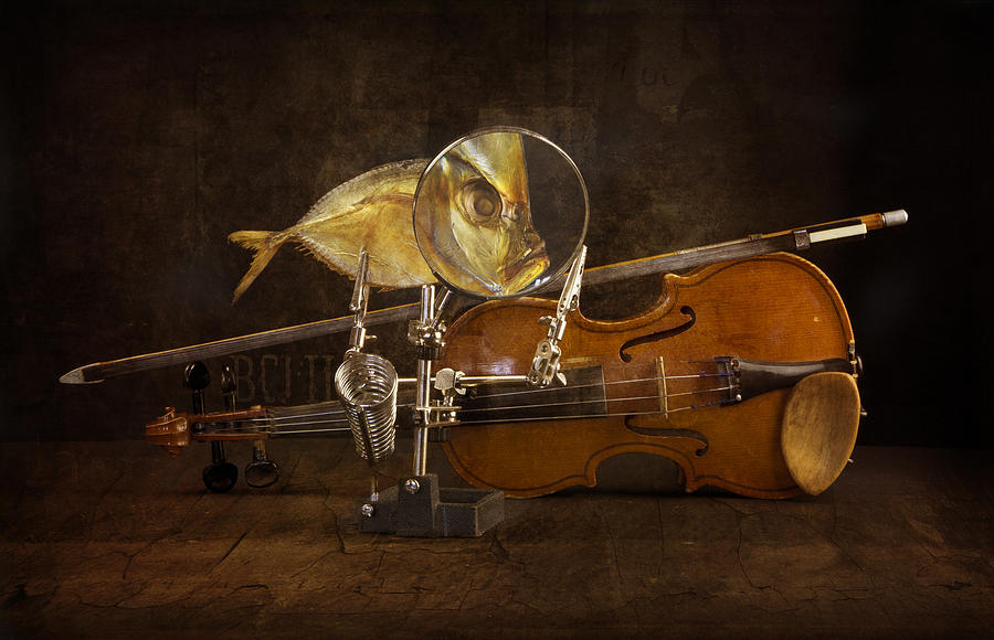 Fish Photograph - Fish And Violin by Brigbarkow