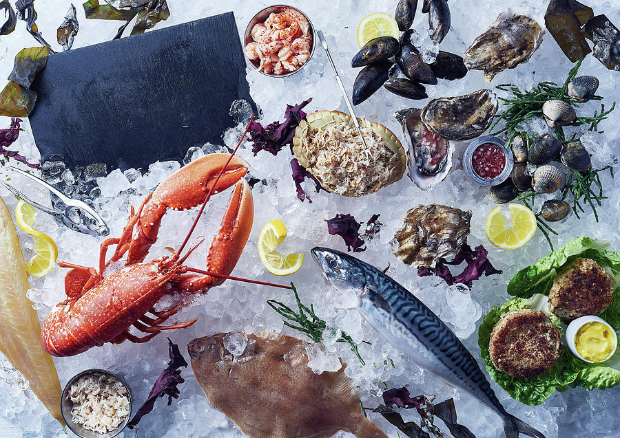 Fish, Crustaceans, Mussels, Seeweed And Samphire Grass Photograph by Cliqq Photography
