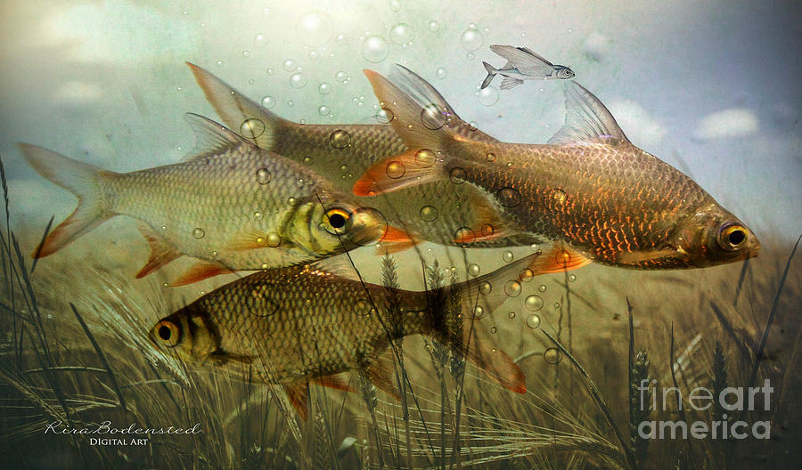 Fish dont leap in wheatfields Mixed Media by Kira Bodensted