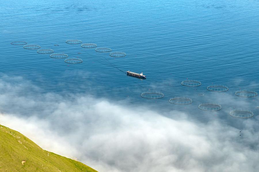 Fish Photograph - Fish Farm With Ship On Foggy Fjords by Ivan Kmit