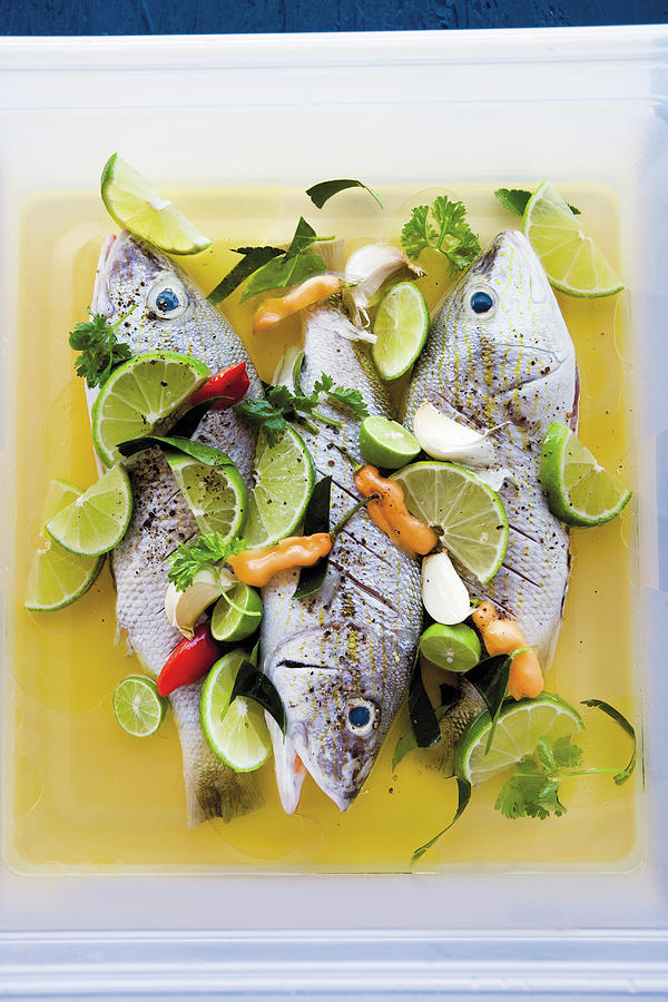 Fish In A Caribbean Grill Marinade With Limes And Lemongrass Photograph by Michael Wissing