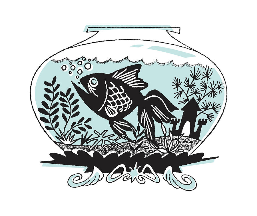 Fish Drawing - Fish in Fishbowl by CSA Images