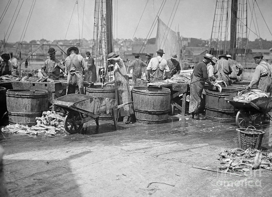 FISH INDUSTRY, c1905 Photograph by Granger