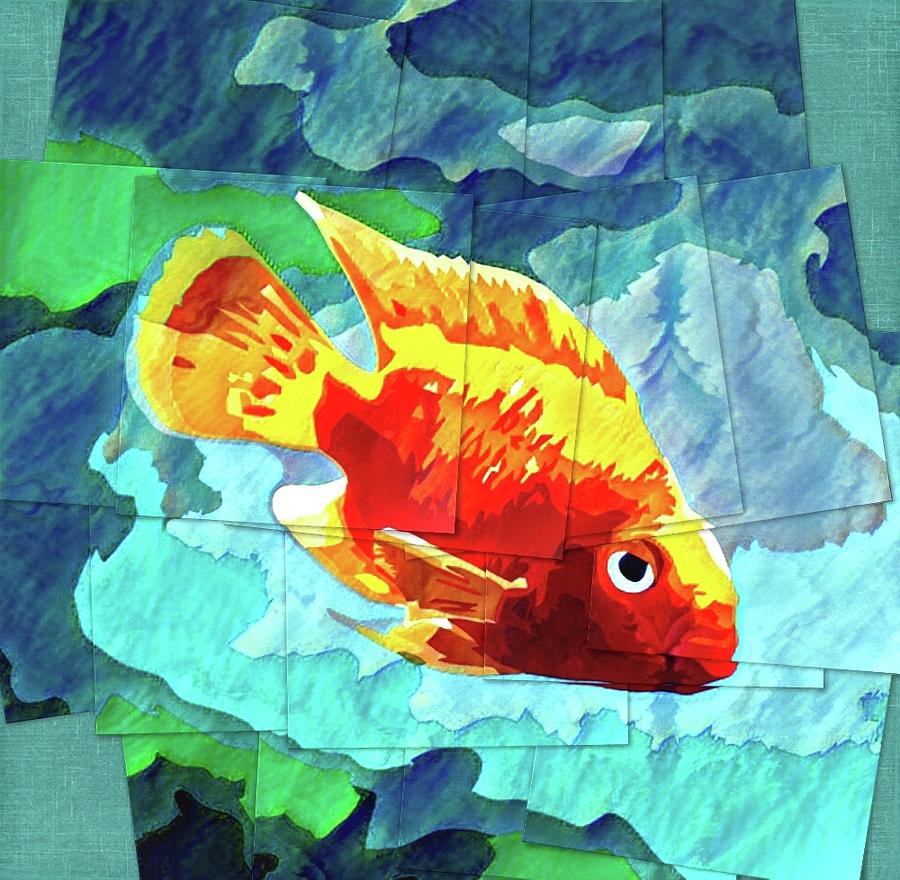 Fish Digital Art by Lawrence Allen