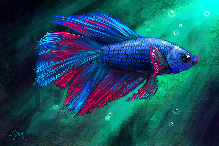 Fish Digital Art by Mark Zelmer