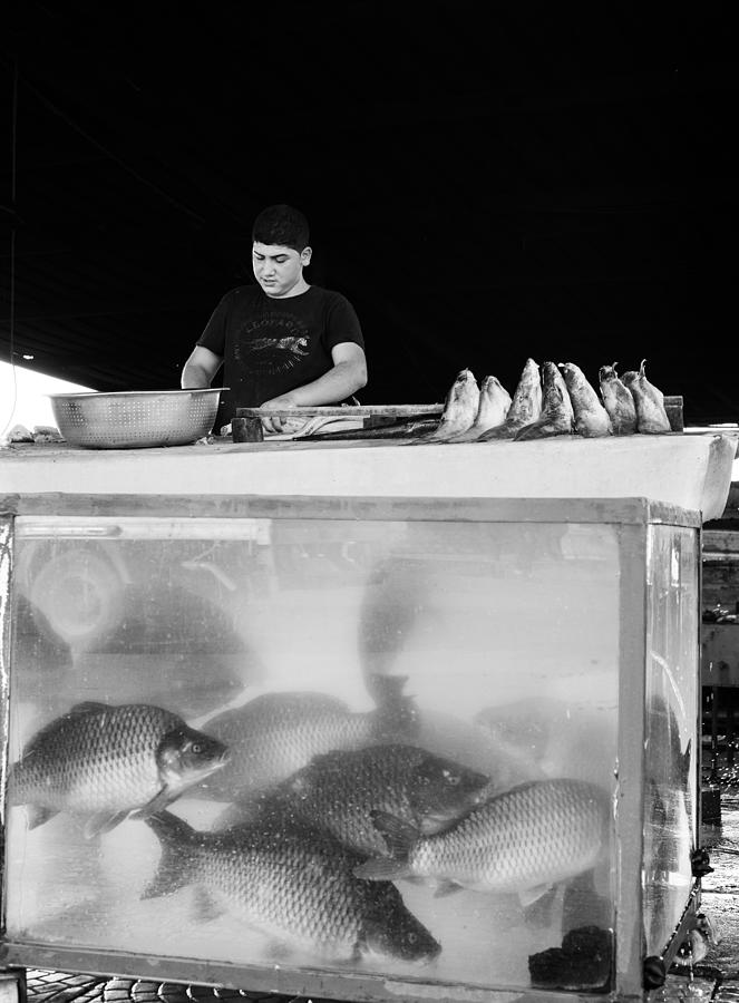 Fish Market Photograph by Alibaroodi