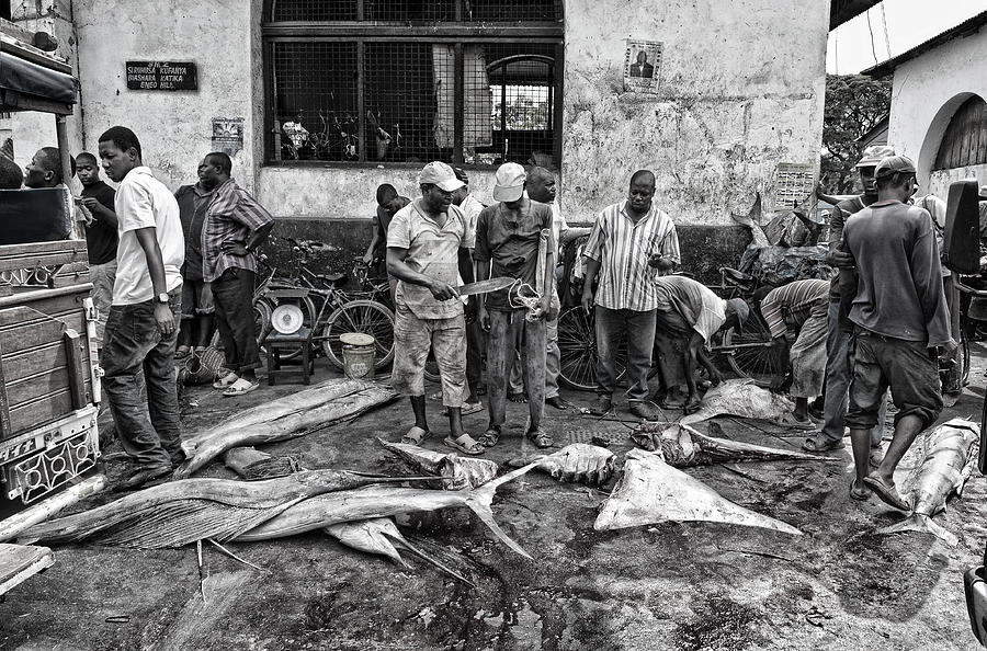 Fish Market In Zanzibar. Photograph by Joxe Inazio Kuesta Garmendia