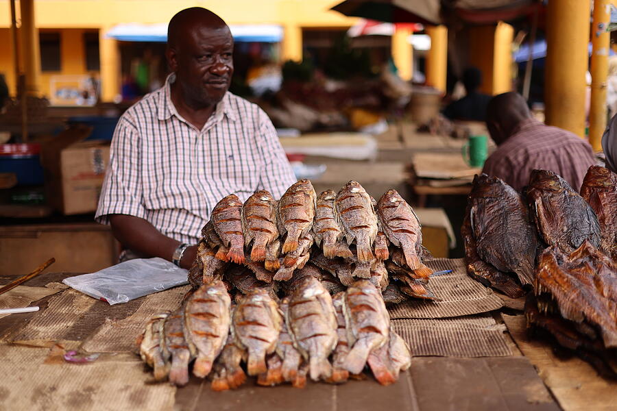 Street Photograph - Fish Market by Sergej Maršnjak Street Photograph - Fish Market by Sergej Maršnjak
