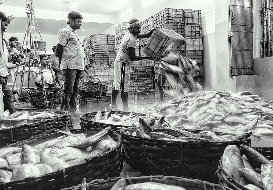 Fish Market Photograph by Shaibal Nandi