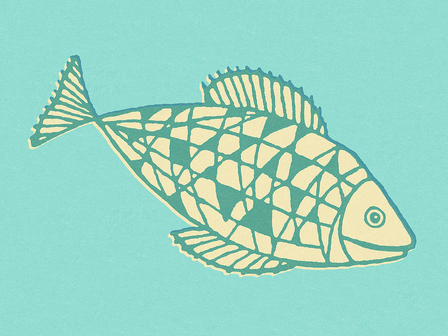 Fish Drawing - Fish on Blue Background by CSA Images
