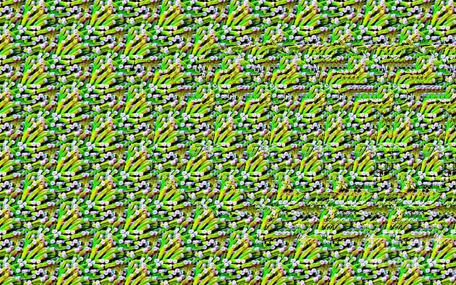 Fish on Corals Stereogram Digital Art by JMarP