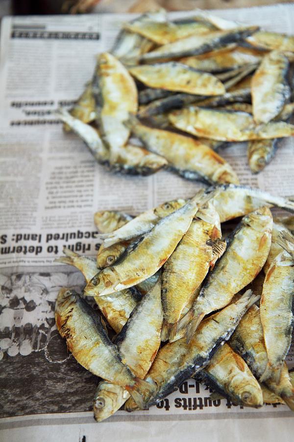 Fish On Newspaper At A Market In Margao, Goa, India Photograph by Anne Faber