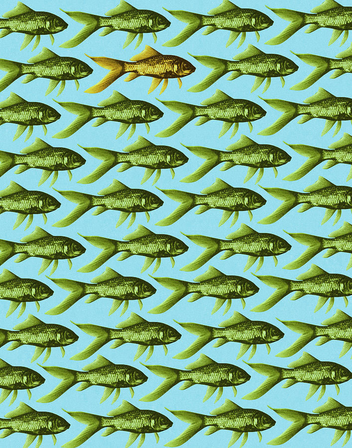 Fish Drawing - Fish Pattern by CSA Images