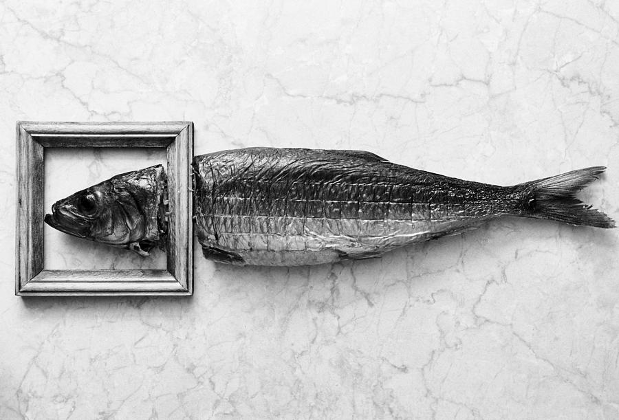 Fish Photograph - Fish Portrait by Aleksandrova Karina