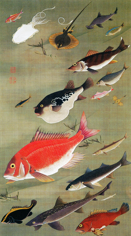 Fish school, Sea bream - Digital Remastered Edition Painting by Ito Jakuchu
