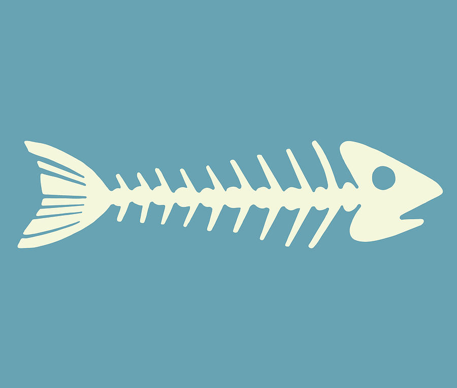 Fish Skeleton by CSA Images