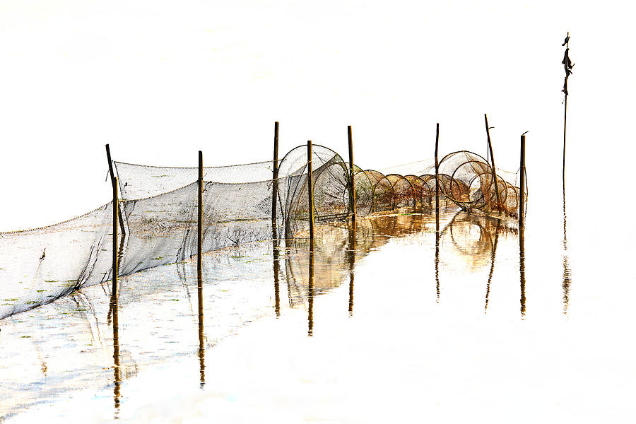 Fish Photograph - Fish Trap At Low Tide by Bodo Balzer