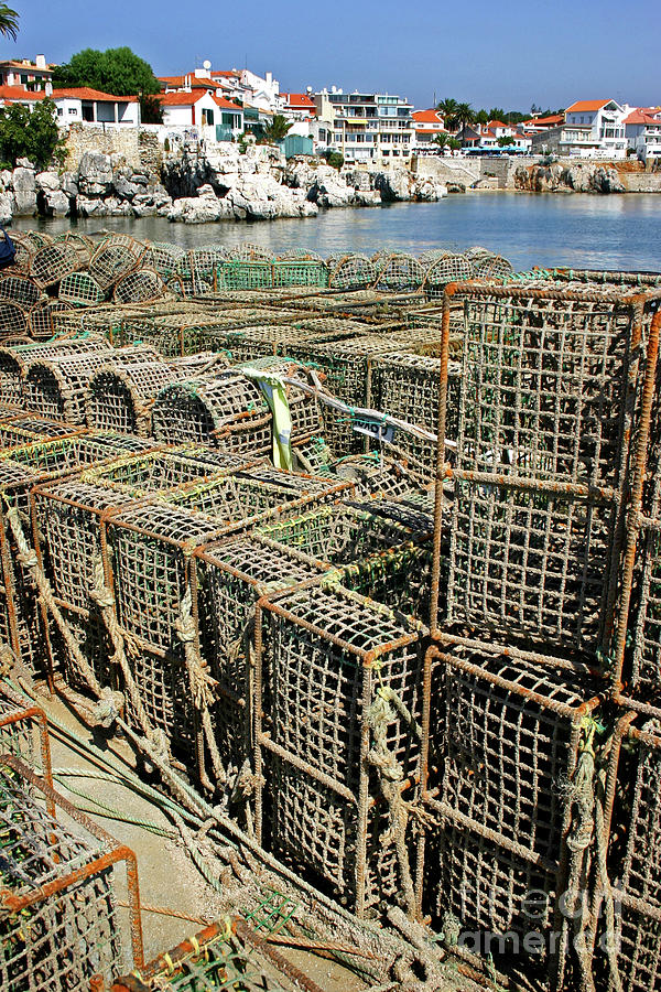 Fish Traps Photograph by Becqi Sherman
