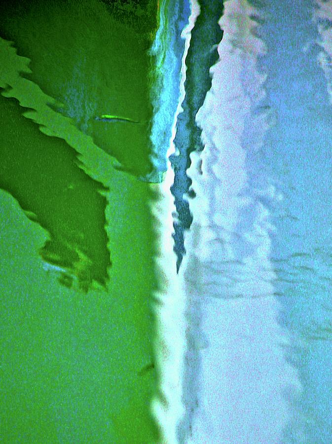 Reflections Photograph - Fish2 by Gillis Cone Reflections Photograph - Fish2 by Gillis Cone