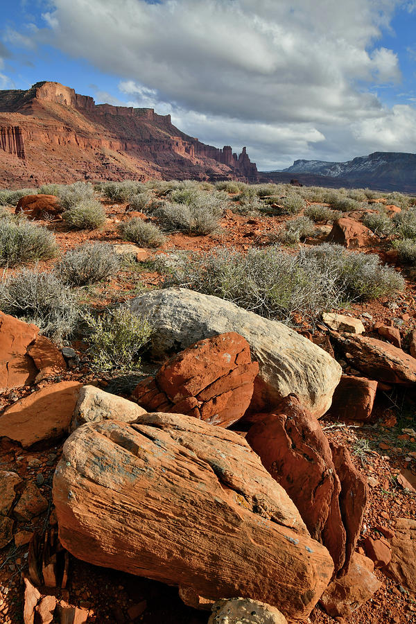 Fisher Towers and Colorful Boulders Photograph by Ray Mathis