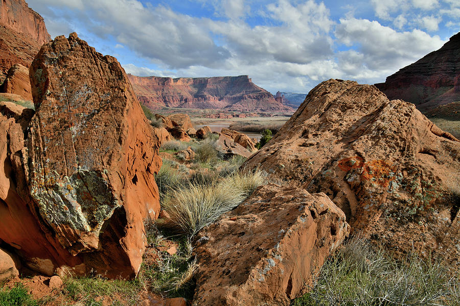 Fisher Towers seen from Scenic Byway 128 Photograph by Ray Mathis