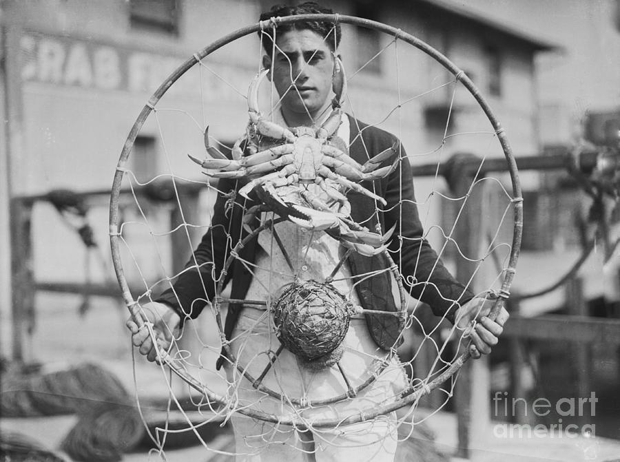 Fisherman Displaying Crabs In Net Photograph by Bettmann