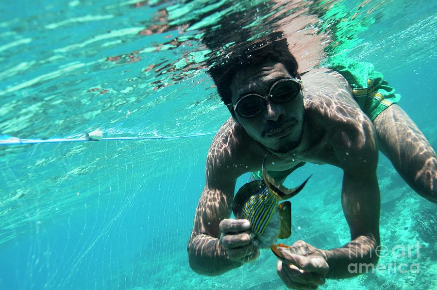 Fisherman Diving Underwater Photograph by Science Photo Library Fisherman Diving Underwater Photograph by Science Photo Library
